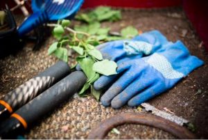 starting a lawn care business