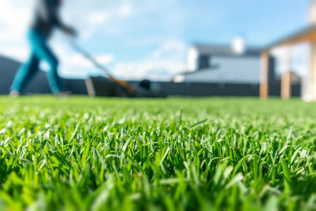 Man mowing his lawn on his backyard