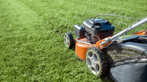 orange lawn mower on the grass